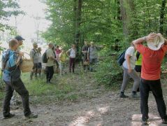 Eligazítás az erdő szélén