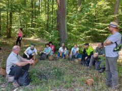 Amíg mindenki vissza nem ér