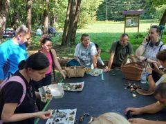 Fajhatározás a pingpong asztalon