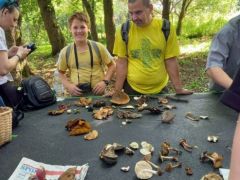 Áron jól elvan Somával - tanulnak