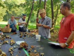 No nézzük miket találtunk! 67 faj az asztalon!