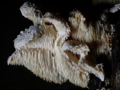 Kell ennél nagyszerűbb zárókép?!