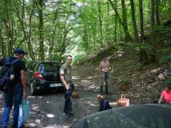 Nem üresek a kosarak!!!