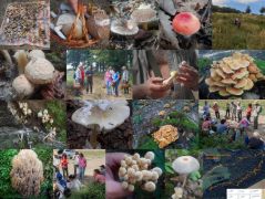 Mozaikban a nap eseményei