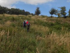 Az irtáson át a fennsíkra - sok volt a szeder