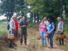 Bevárjuk egymást, aztán szedrezünk