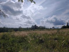 Csodálatos időt fogtunk ki! Na és jó a fotós!