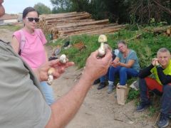 Mi megfogjuk, de másnak nem ajánljuk!