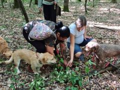 2025.07.05 - Triflás túra