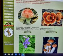 2021.02.14 - Látogatás számlálónk elérte a bűvös számot: 11 111 111